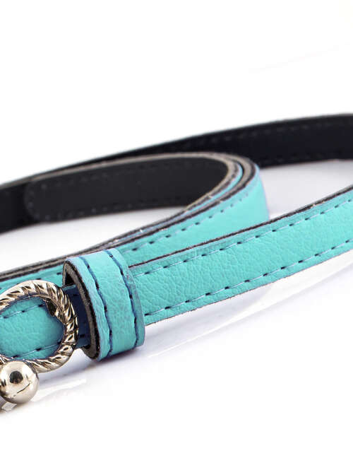 Waist Belt with Price per Unit  large